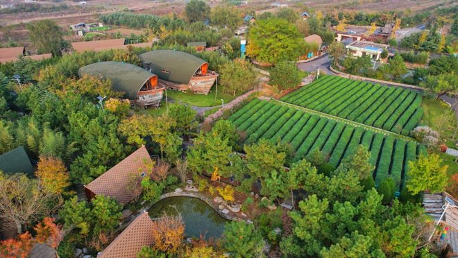 旺季一房难求！日照这里太火爆了！不朽情缘登录入口1800余家！(图1)